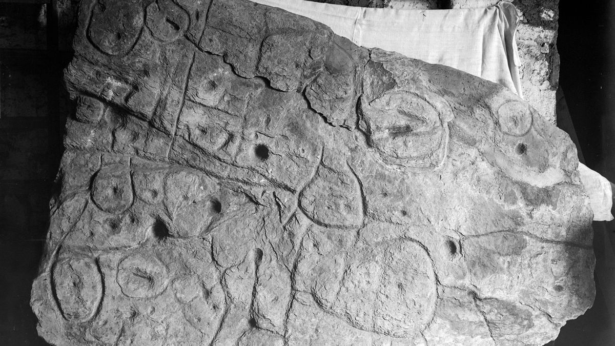 Deska z doby bronzové může být podle vědců nejstarší 3D mapa Evropy